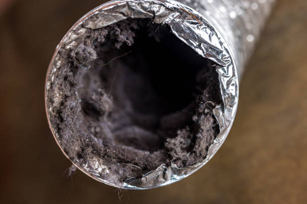 Best Home Air Vent Cleaning  in Butner, NC
